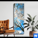 Wechselmotiv Wald Im Winter Schmal Produktvorschau mit dem Bild Wald im Winter im Format Schmal.