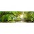 Wechselmotiv Wald Mit Bach Bei Sonnenschein Panorama Motivvorschau