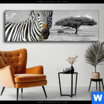 Wechselmotiv Zebra In Afrika Panorama Produktvorschau mit dem Bild Zebra in Afrika im Format Panorama.