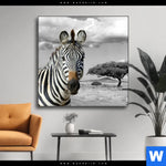 Wechselmotiv Zebra In Afrika Quadrat Produktvorschau mit dem Bild Zebra in Afrika im Format Quadrat.