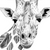 Spannbild Bleistiftzeichnung Giraffe Hochformat Zoom wandbild.com