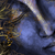 Wechselmotiv Buddha in Gold & Blau Panoramahochformat Zoom wandbild.com