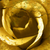 Canvalight® Leuchtbild Goldene Rose Quadrat Zoom wandbild.com
