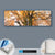 Canvalight® Leuchtbild  Alte Buche  Panorama Material wandbild.com