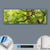 Canvalight® Leuchtbild  Baumkrone einer Buche  Panorama Material wandbild.com