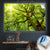Canvalight® Leuchtbild Baumkrone einer Buche Querformat Produktfoto wandbild.com