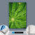 Canvalight® Leuchtbild  Blatt mit Wassertropfen  Hochformat Material wandbild.com