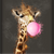 Canvalight® Leuchtbild Bubble Gum Giraffe Quadrat Motive wandbild.com