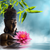 Canvalight® Leuchtbild Buddha Statue mit Seerose Quadrat Motive wandbild.com