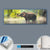 Canvalight® Leuchtbild  Elefant im Wasser  Panorama Material wandbild.com