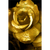 Canvalight® Leuchtbild Goldene Rose Hochformat Motive wandbild.com