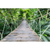Canvalight® Leuchtbild Hängebrücke im Dschungel Querformat Motive wandbild.com