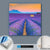 Canvalight® Leuchtbild  Lavendel Blumen Feld  Quadrat Material wandbild.com