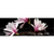 Canvalight® Leuchtbild Magnolien & Zen Steine Panorama Motive wandbild.com