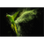 Canvalight® Leuchtbild Papagei - grüne Farbexplosion Querformat Motive wandbild.com