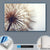 Canvalight® Leuchtbild  Pusteblume  Querformat Material wandbild.com