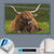Canvalight® Leuchtbild  Rind in den schottischen Highlands  Querformat Material wandbild.com