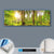 Canvalight® Leuchtbild  Sonne im grünen Wald  Panorama Material wandbild.com