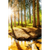 Canvalight® Leuchtbild Sonniger Wald Hochformat Motive wandbild.com