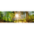 Canvalight® Leuchtbild Sonniger Wald Panorama Motive wandbild.com