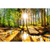 Canvalight® Leuchtbild Sonniger Wald Querformat Motive wandbild.com