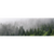Canvalight® Leuchtbild Wald im Nebel Panorama Motive wandbild.com