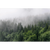 Canvalight® Leuchtbild Wald im Nebel Querformat Motive wandbild.com