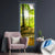 Canvalight® Leuchtbild Wald mit Sonnenstrahlen Panoramahochformat Produktfoto wandbild.com