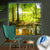 Canvalight® Leuchtbild Wald mit Sonnenstrahlen Quadrat Produktfoto wandbild.com
