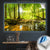 Canvalight® Leuchtbild Wald mit Sonnenstrahlen Querformat Produktfoto wandbild.com
