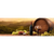 Canvalight® Leuchtbild Wein & Toscana Panorama Motive wandbild.com