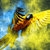 Spannbild Papagei - Farbexplosion Quadrat Zoom wandbild.com