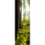 Spannbild Im tiefen Wald Panoramahochformat Motive wandbild.com