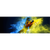 Spannbild Papagei - Farbexplosion Panorama Motive wandbild.com