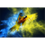 Spannbild Papagei - Farbexplosion Querformat Motive wandbild.com