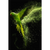 Spannbild Papagei - grüne Farbexplosion Hochformat Motive wandbild.com