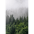 Spannbild Wald im Nebel Hochformat Motive wandbild.com