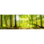 Spannbild Wald mit Sonnenstrahlen Panorama Motive wandbild.com
