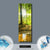 Spannbild  Wald mit Sonnenstrahlen  Panoramahochformat Material wandbild.com