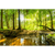 Spannbild Wald mit Sonnenstrahlen Querformat Motive wandbild.com
