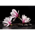 Spannbild Magnolien &amp; Zen Steine Querformat Wandbild 2