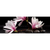 Spannbild Magnolien &amp; Zen Steine Panorama Wandbild 2