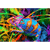 Spannbild Regenbogen Cham&auml;leon No.2 Querformat Wandbild 2