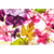 Spannbild Blumen Collage No.2 Querformat Wandbild 2