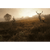 Spannbild Rothirsch im Nebel Querformat Wandbild 2