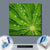 Wechselmotiv  Blatt mit Wassertropfen  Quadrat Material wandbild.com