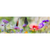Wechselmotiv Blumenwiese mit Schmetterlingen Panorama Motive wandbild.com
