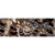 Wechselmotiv Muschel Fossil No. 3 Panorama Motive wandbild.com