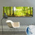 Wechselmotiv Wald mit Sonnenstrahlen Panorama Produktfoto wandbild.com