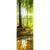Wechselmotiv Wald mit Sonnenstrahlen Panoramahochformat Motive wandbild.com